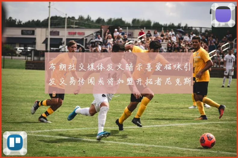 布朗社交媒体发文暗示喜爱猫咪引发交易传闻或将加盟开拓者尼克斯雷霆湖人